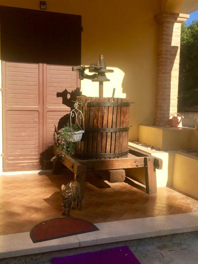 Il Girasole Apartment Castel Ritaldi Ngoại thất bức ảnh