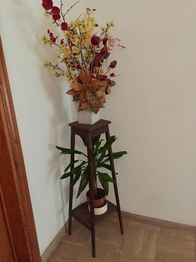 Il Girasole Apartment Castel Ritaldi Ngoại thất bức ảnh